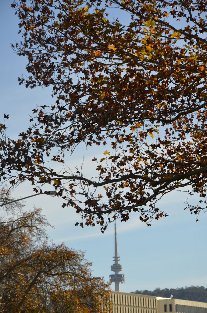 Canberra, Australia's capital city