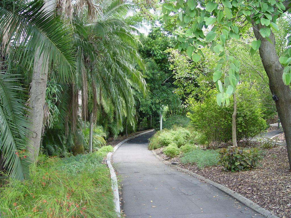 Brisbane Botanic Gardens, Queensland