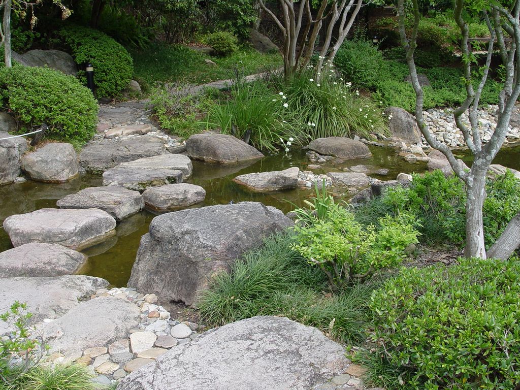 Brisbane Botanic Gardens, Queensland