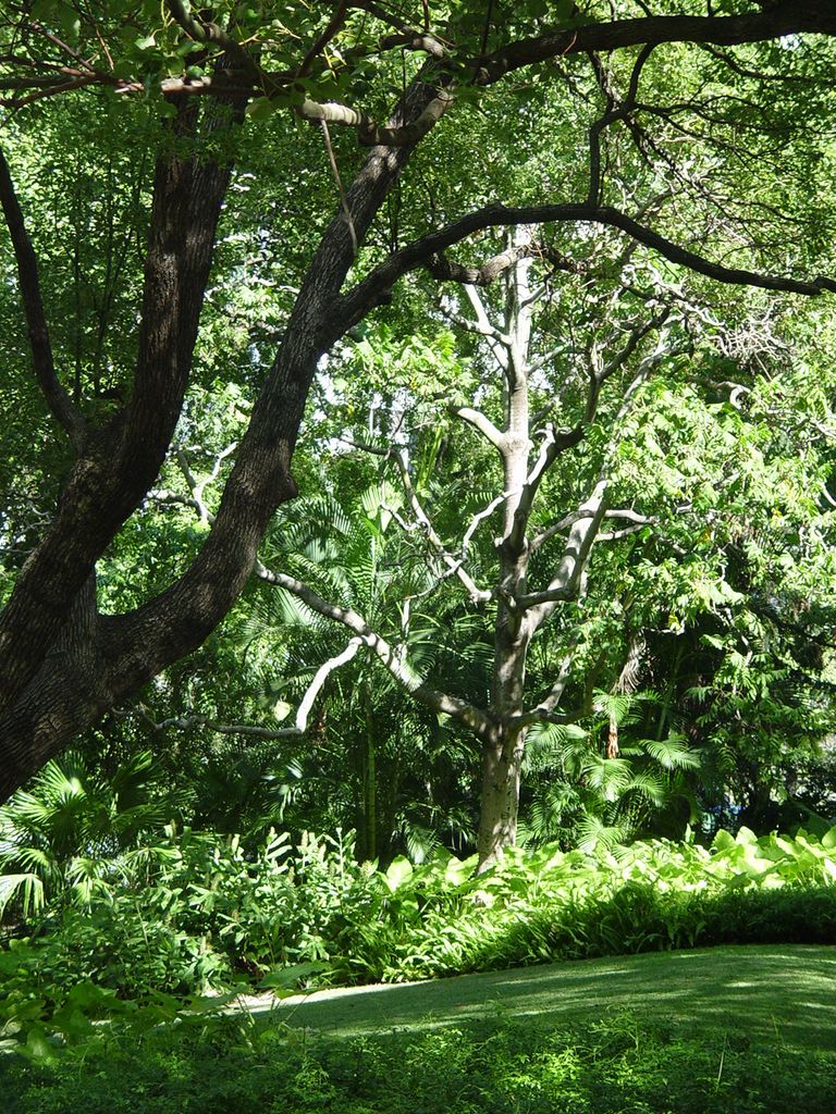 The streets of Brisbane, Queensland, Australia.