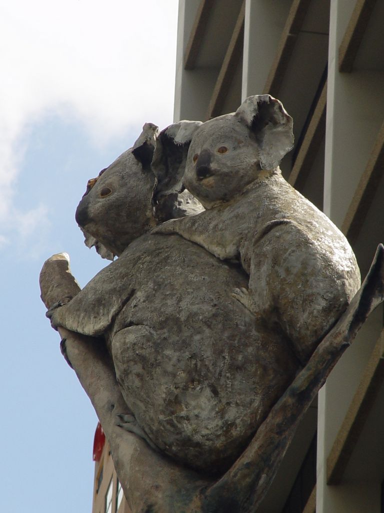 The streets of Brisbane, Queensland, Australia.
