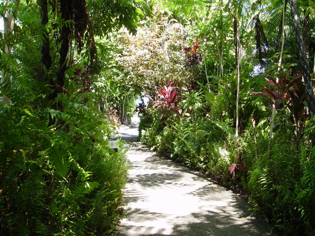 Kuranda, Queensland, Australia.