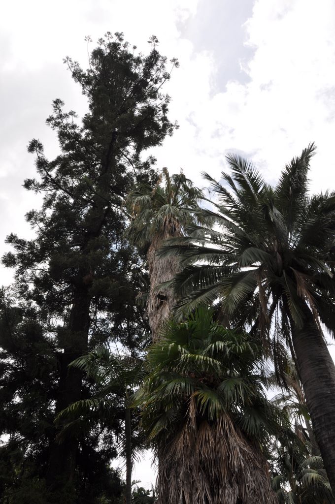 Botanic Gardens, Adelaide, South Australia