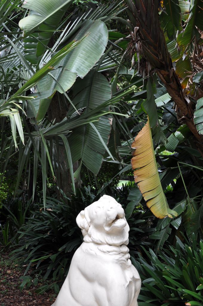 Botanic Gardens, Adelaide, South Australia