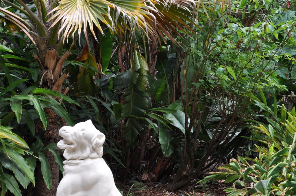 Botanic Gardens, Adelaide, South Australia