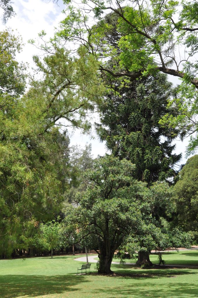 Botanic Gardens, Adelaide, South Australia