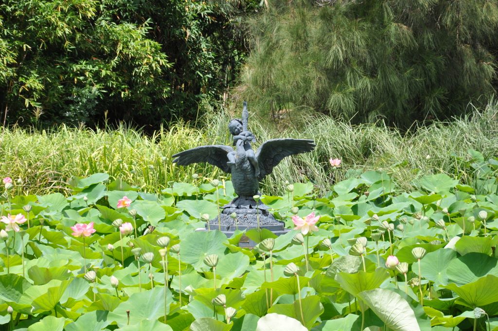 Botanic Gardens, Adelaide, South Australia