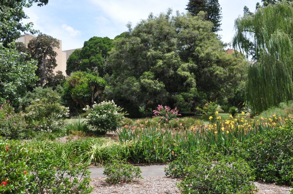 Botanic Gardens, Adelaide, South Australia