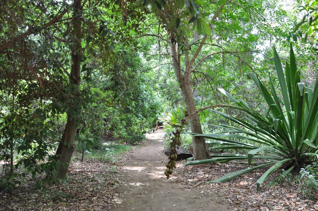 Botanic Gardens, Adelaide, South Australia