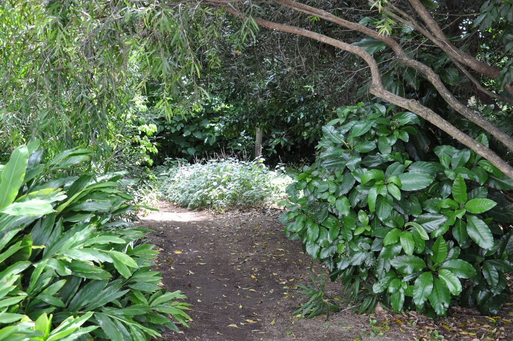 Botanic Gardens, Adelaide, South Australia