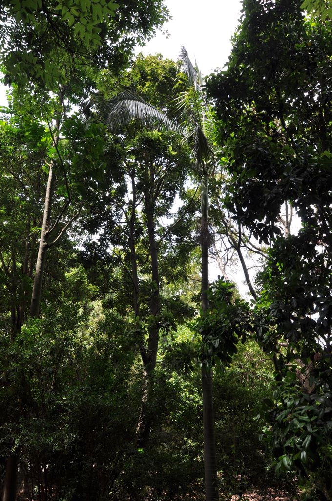 Botanic Gardens, Adelaide, South Australia