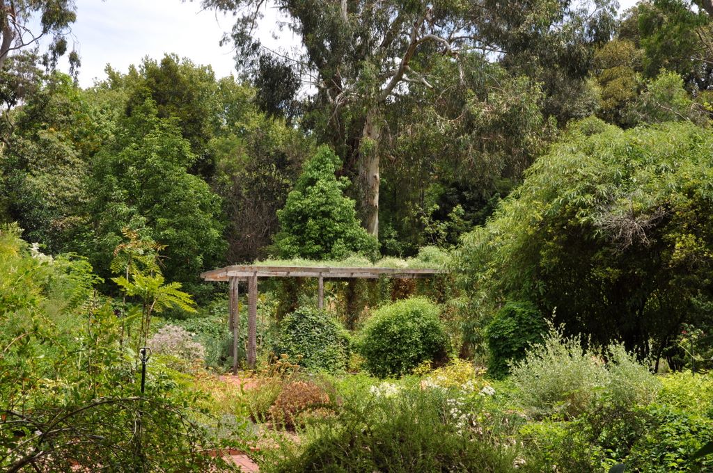 Botanic Gardens, Adelaide, South Australia