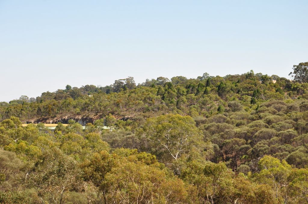 Barossa Dam, Barossa Valley, South Australia