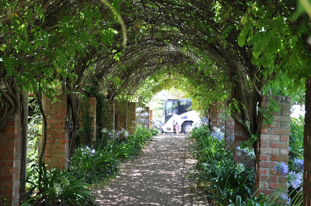 Kaesler Vineyards & Winery, Barossa Valley, South Australia, established in 1893.