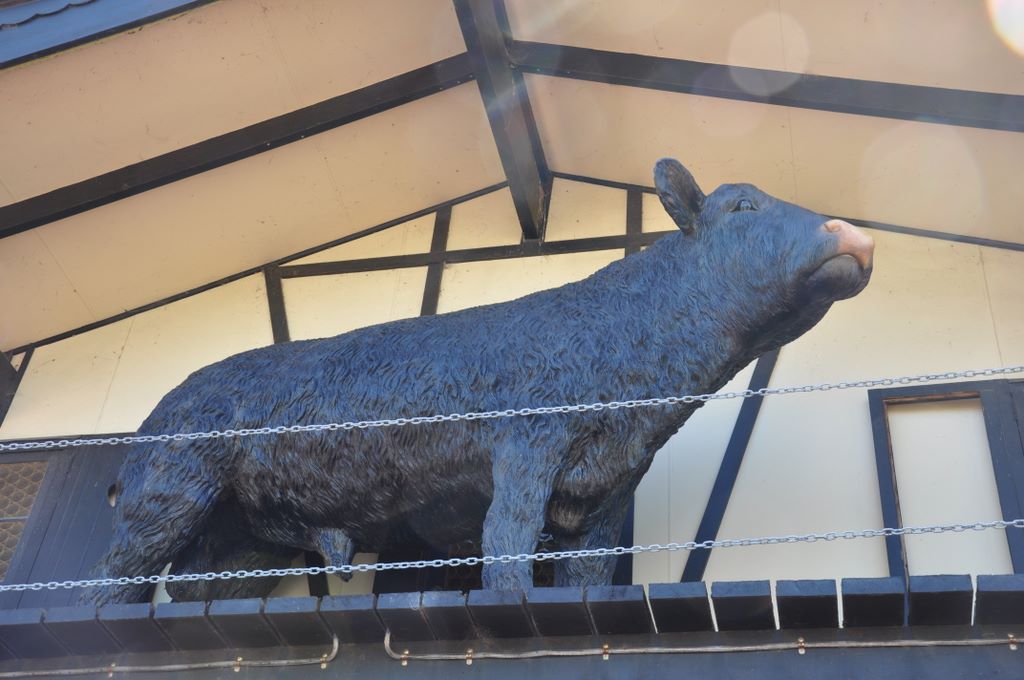 Lyndoch, Barossa Valley, South Australia.