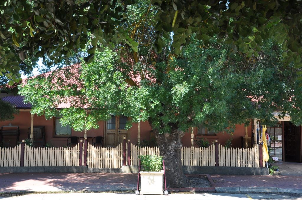 Lyndoch, Barossa Valley, South Australia.