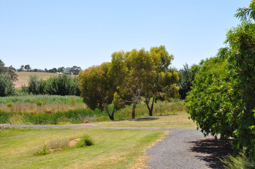 Lyndoch, Barossa Valley, South Australia.