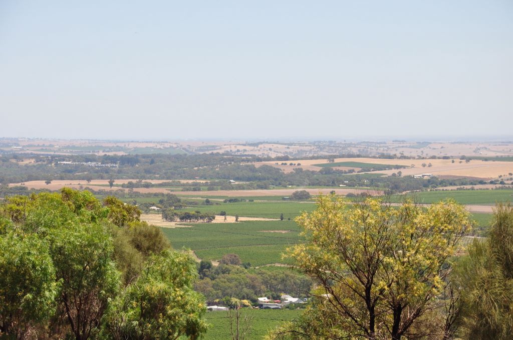 Mengler's Hill Lookout, Barossa Valley, South Australia