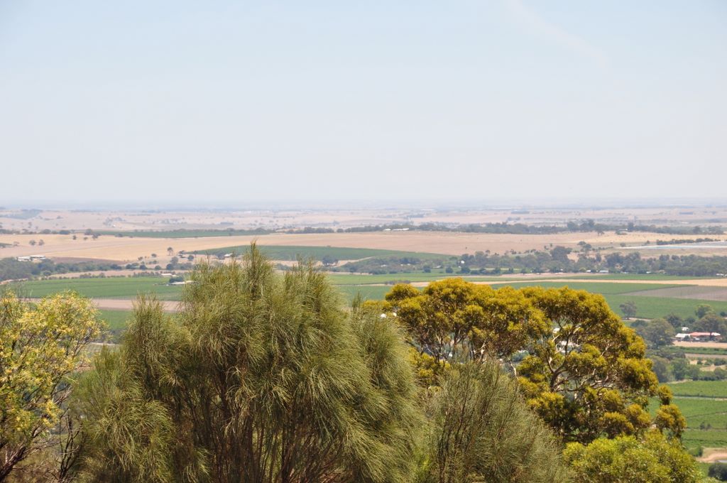 Mengler's Hill Lookout, Barossa Valley, South Australia