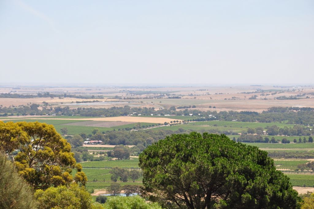 Mengler's Hill Lookout, Barossa Valley, South Australia