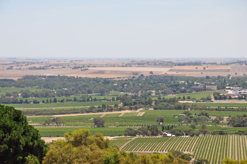 Mengler's Hill Lookout, Barossa Valley, South Australia
