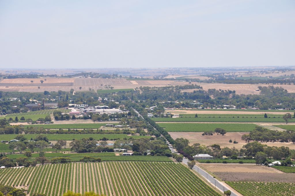 Mengler's Hill Lookout, Barossa Valley, South Australia