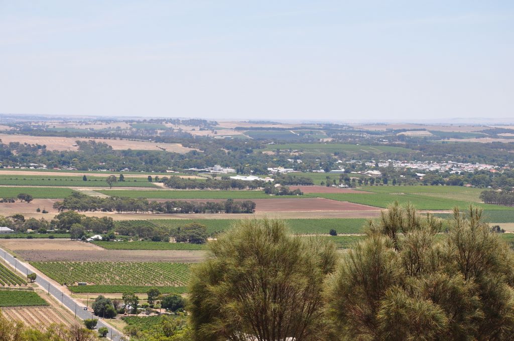 Mengler's Hill Lookout, Barossa Valley, South Australia