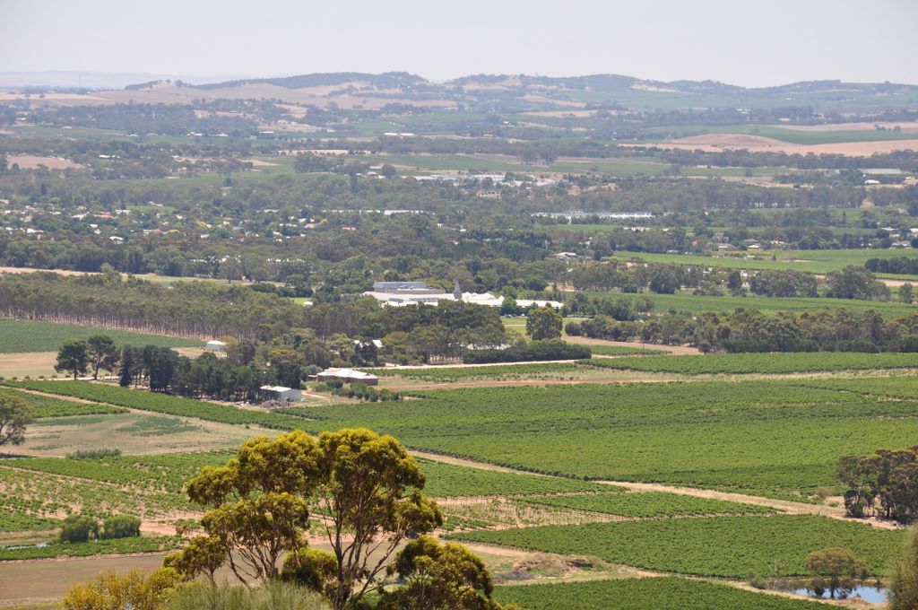 Mengler's Hill Lookout, Barossa Valley, South Australia