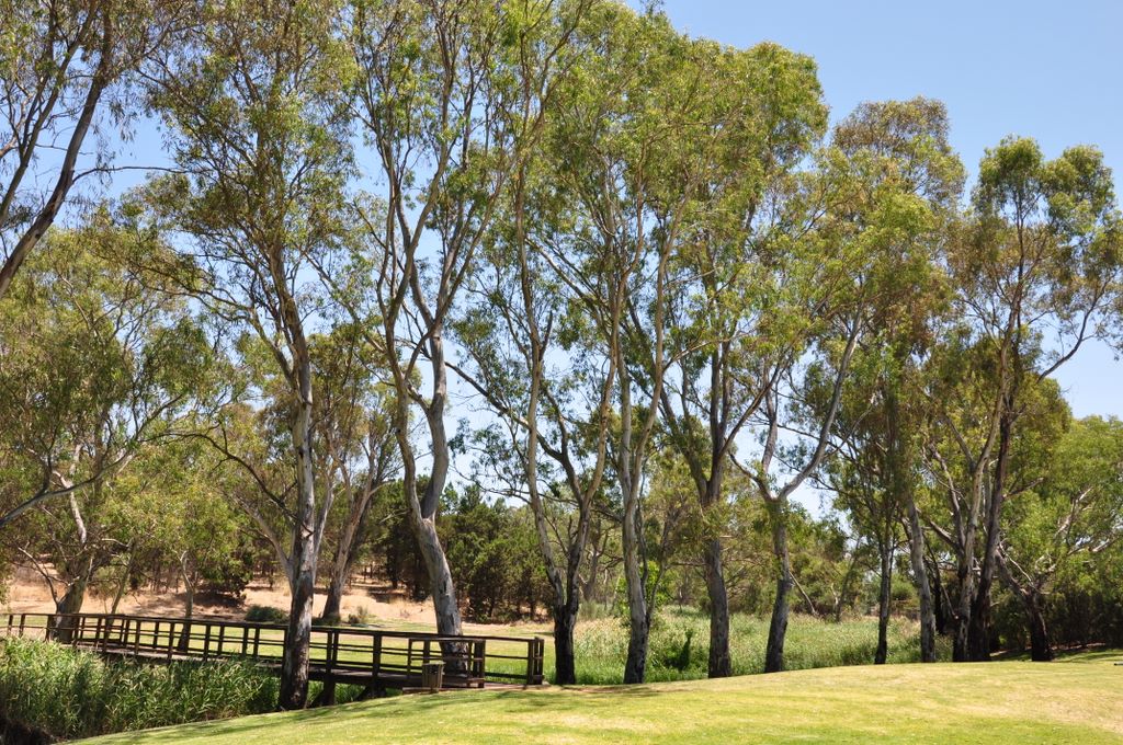 Richmond Grove Wines, Barossa Valley, South Australia
