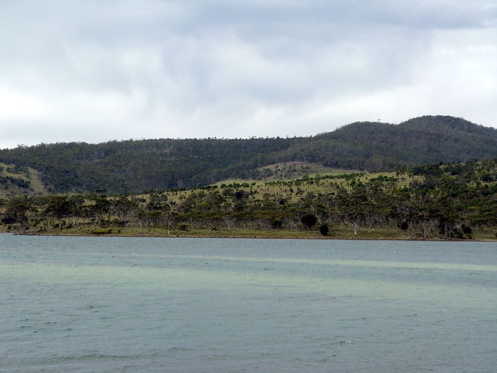 Views from the Arthur Highway, Tasmania.