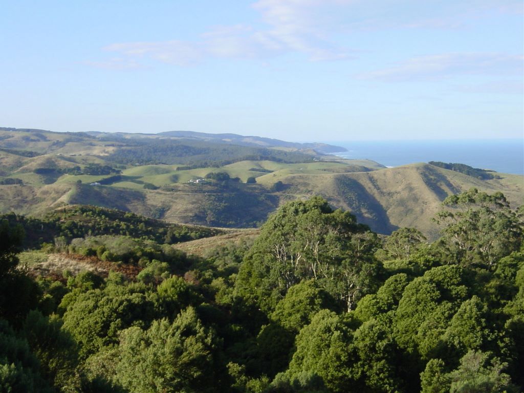 Apollo Bay, along the Great Ocean Road, part of Victoria's shipwreck coast.