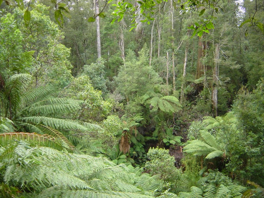 Apollo Bay, along the Great Ocean Road, part of Victoria's shipwreck coast.