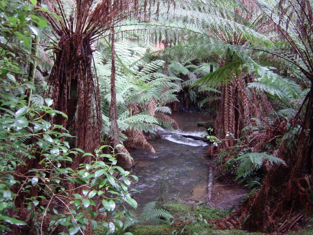 Apollo Bay, along the Great Ocean Road, part of Victoria's shipwreck coast.