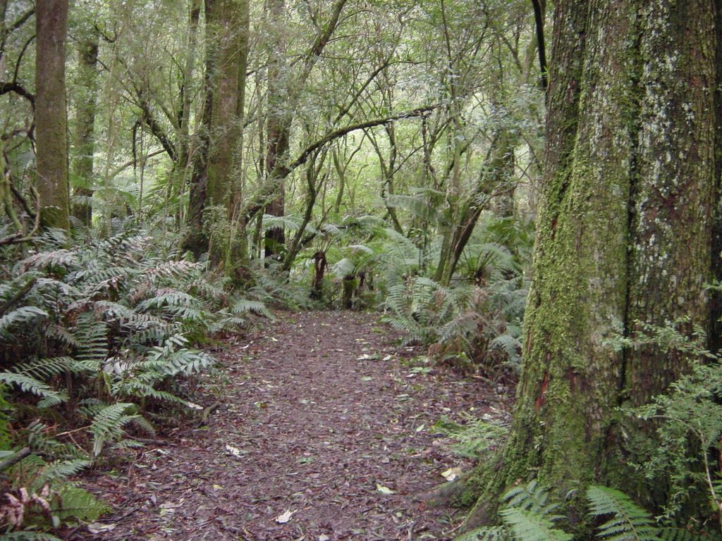 Apollo Bay, along the Great Ocean Road, part of Victoria's shipwreck coast.