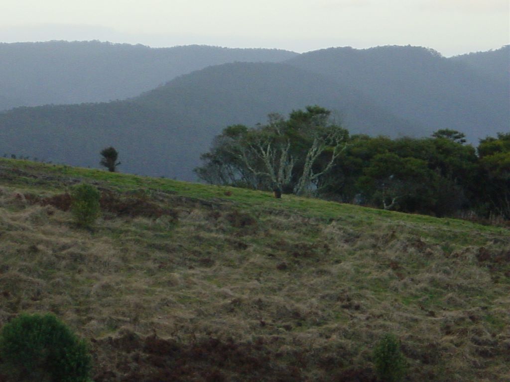 Apollo Bay, along the Great Ocean Road, part of Victoria's shipwreck coast.