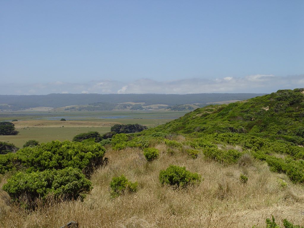 Castle Cove, along the Great Ocean Road, part of Victoria's shipwreck coast.