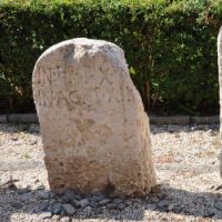 Funerary stelae with simple formularies from Museo Nazionale Romano, Rome, Italy.