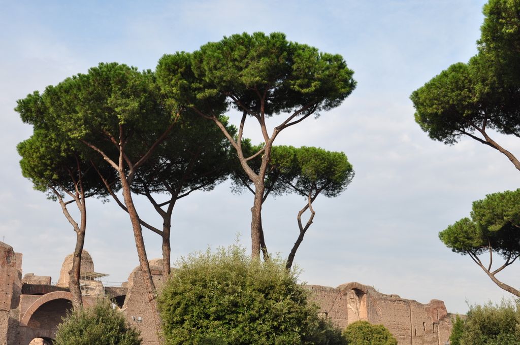 Appian Way, Rome, Italy.