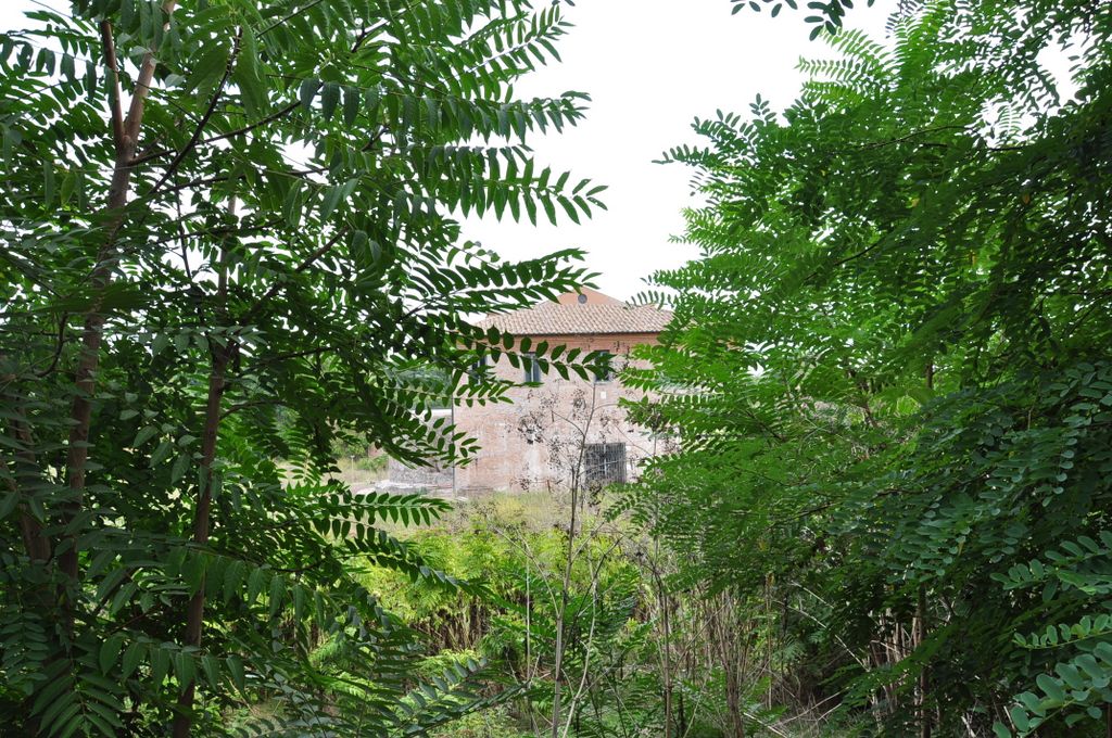 Appian Way, Rome, Italy.
