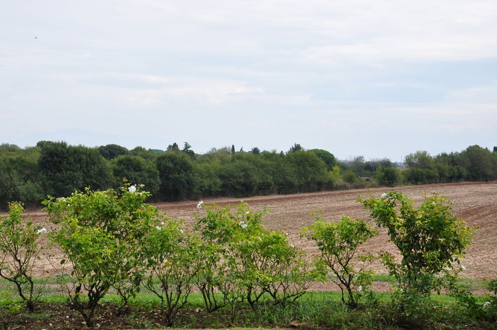 Appian Way, Rome, Italy.