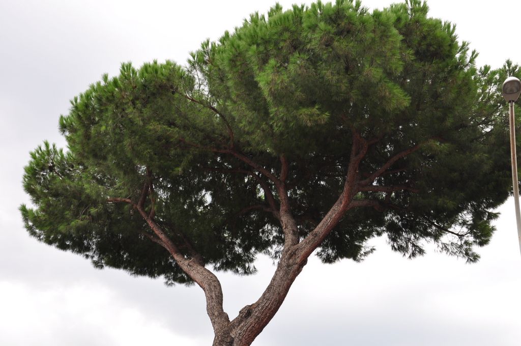 Appian Way, Rome, Italy.