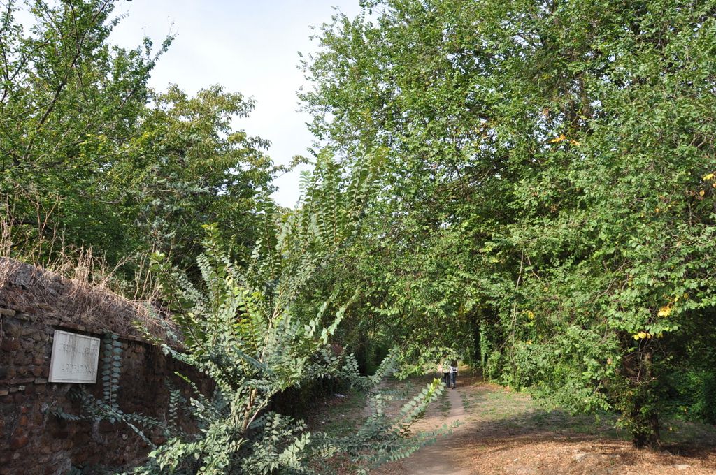 The Aurelian Walls, Rome, Italy.