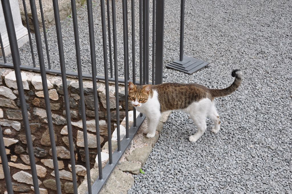 The Tomb of Caecilia Metella, Rome, Italy.