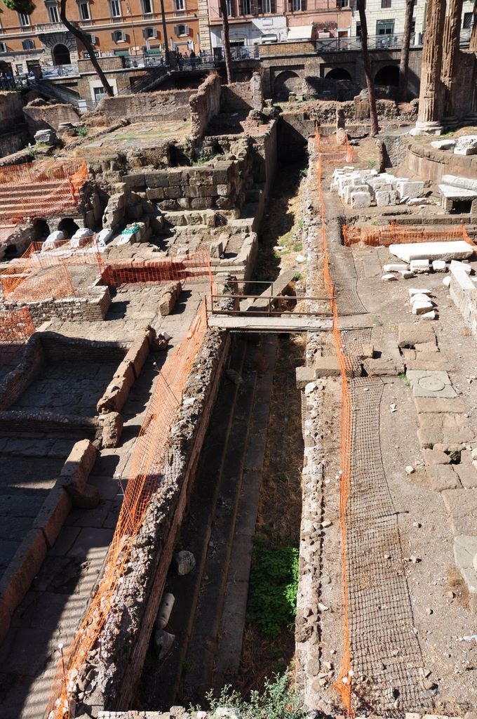 Largo di Torre Argentina, Rome, Italy.
