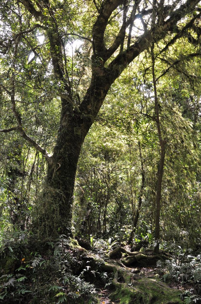 Around Wanaka, New Zealand