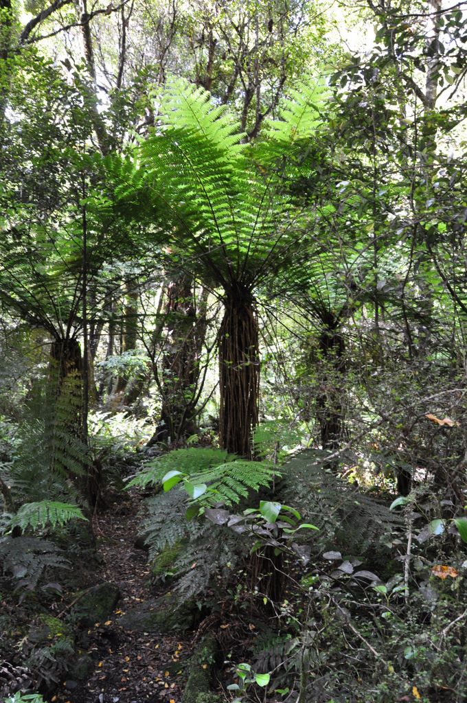 Around Wanaka, New Zealand