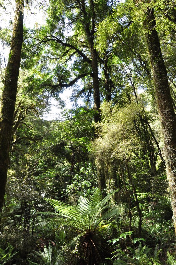 Around Wanaka, New Zealand