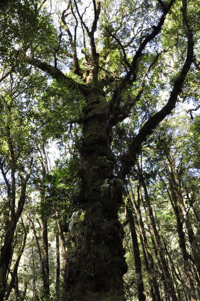 Around Wanaka, New Zealand