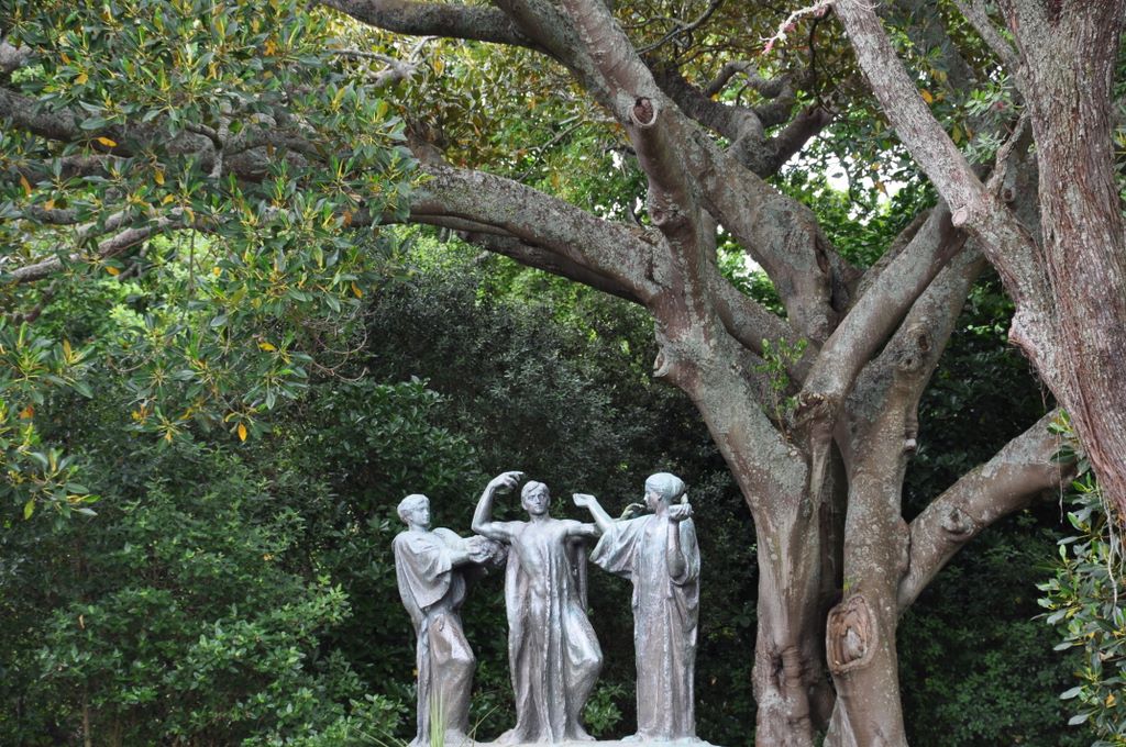 Auckland Domain, New Zealand.