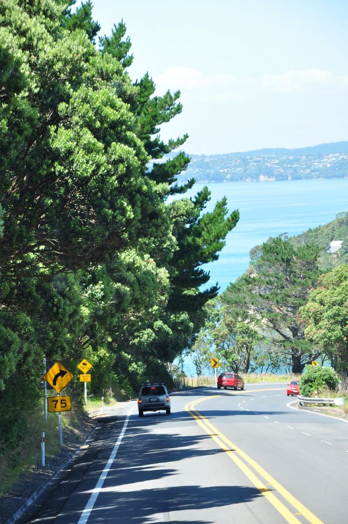The drive into Auckland, New Zealand.